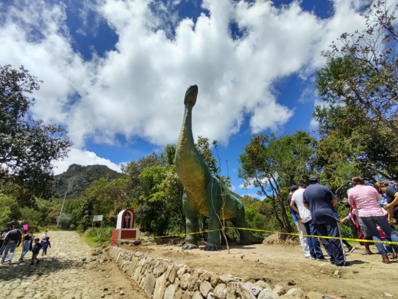 Clausuran Cuatlapanga Jurassic en Cuaxomulco por falta de estudios de  impacto ambiental - Urbano