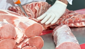 Semanalmente entrega 250 kilogramos