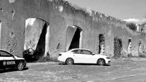 El cuerpo fue desenterrado por una jauría