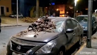 Las palmeras de Puebla están enfermas: tienen hongos