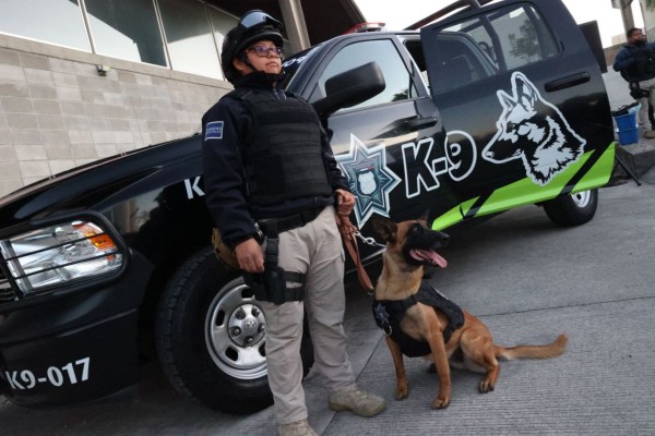 No pues Guau - Policia Municipal de Puebla - Binomios caninos