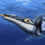 México presenta al Yaguarasaurus, un reptil marino que habitó hace 90 millones de años