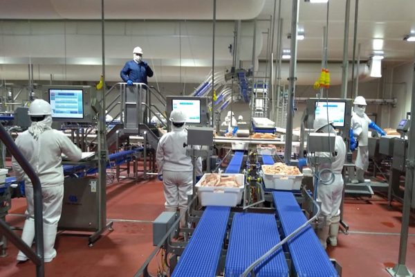 actividad-industrial