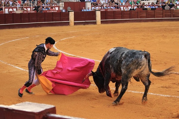 Juez federal otorga amparo que prohíbe corridas de toros en Zacatlán y Plaza de Toros el Relicario