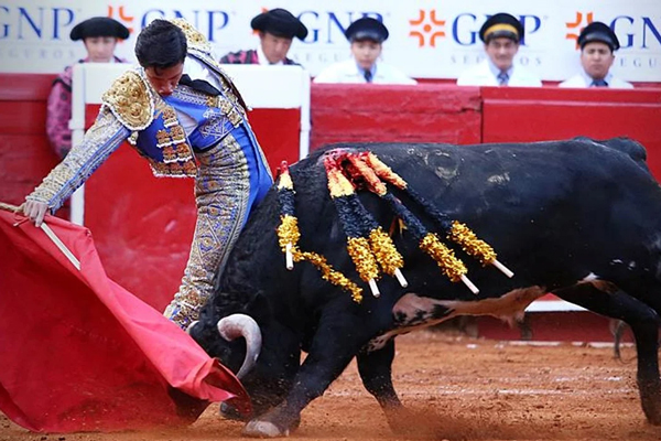 toros