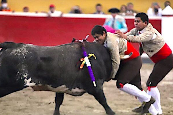 corridas-de-toros