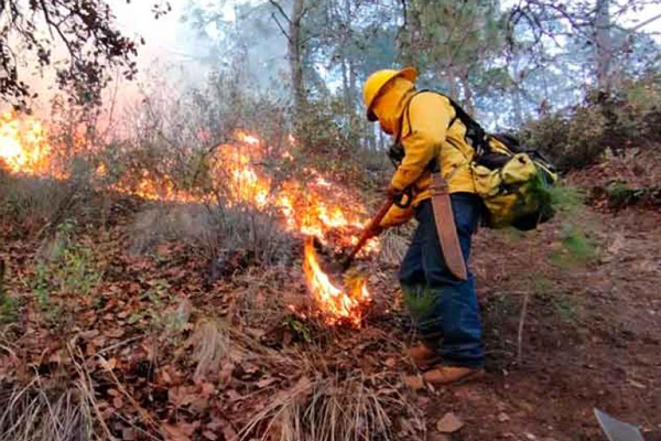 incendios-forestales