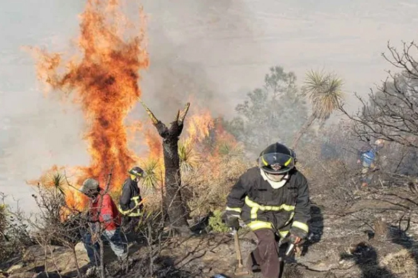 Brigadas trabajan en combatir incendios forestales en Tetela y Coyomeapan