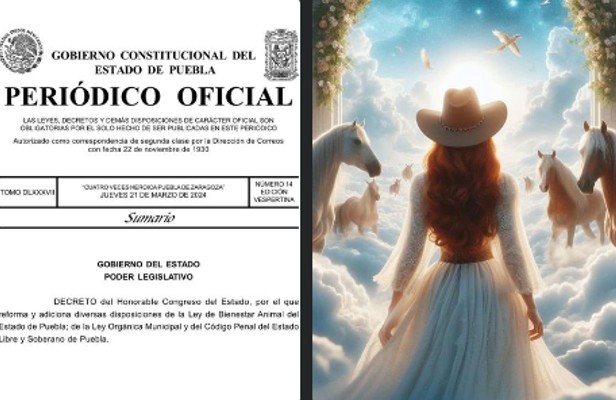 #LeyElena: Reforma para castigar zoofilia y crueldad animal es publicada tras petición de animalistas
