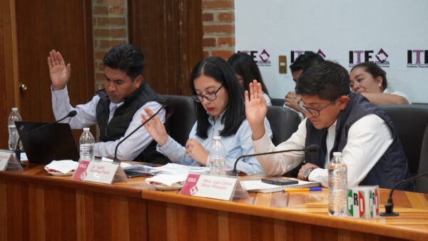 Partido siguen sin cumplir con acciones afirmativas para candidaturas a diputaciones locales: ITE