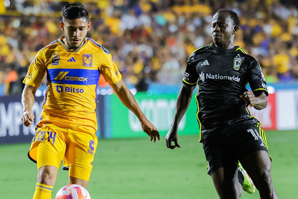 Tigres