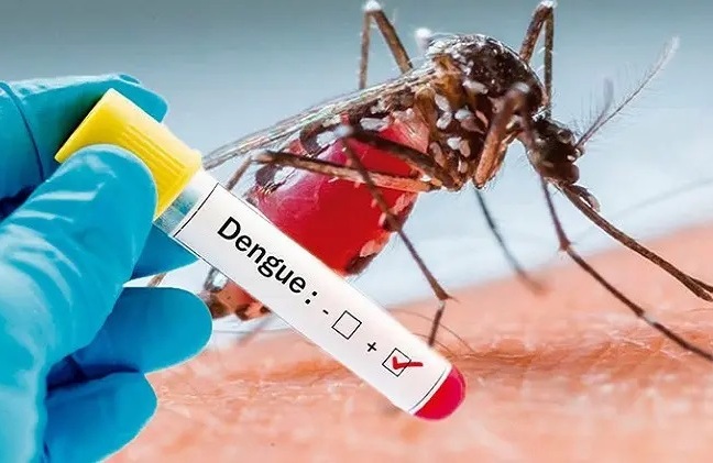 Puebla registra 91 casos de dengue, distribuidos en 20 municipios: Salud