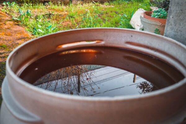 Concentran seis municipios de Puebla un 70% de casos de dengue: Salud