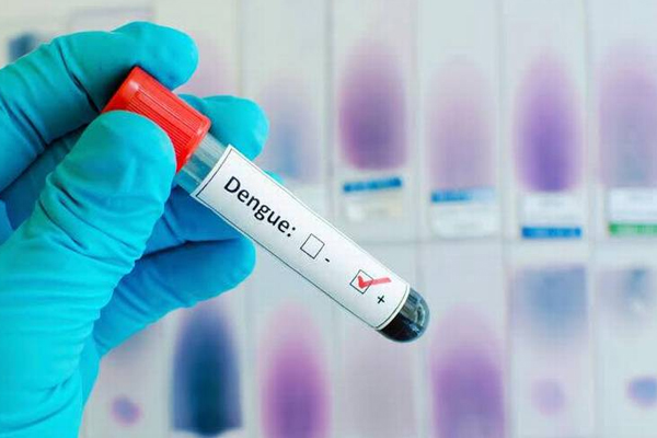 dengue