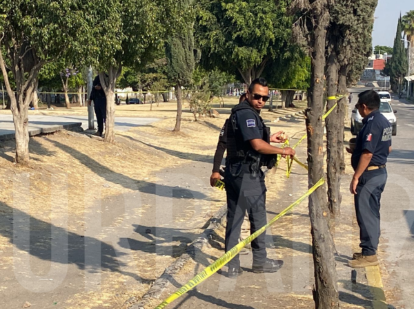 Puebla acumula 245 homicidios dolosos al cierre del primer trimestre de 2024
