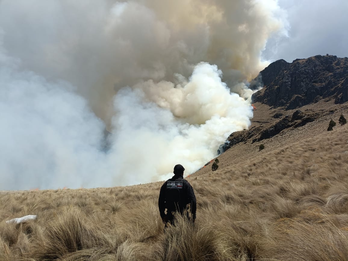 Incendios forestales afectan 8 municipios de Puebla; tardan 6 días en controlar fuego en Tetela y Chilchotla