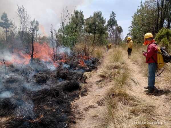 SMADSOT reporta que fueron liquidados al 100% los incendios forestales de Libres y Coyomeapan