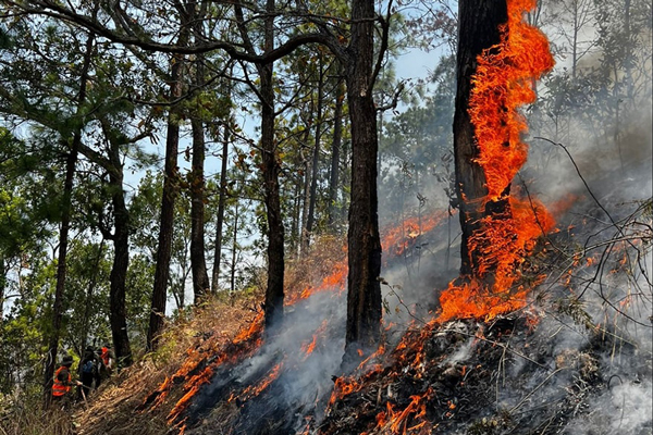 incendios