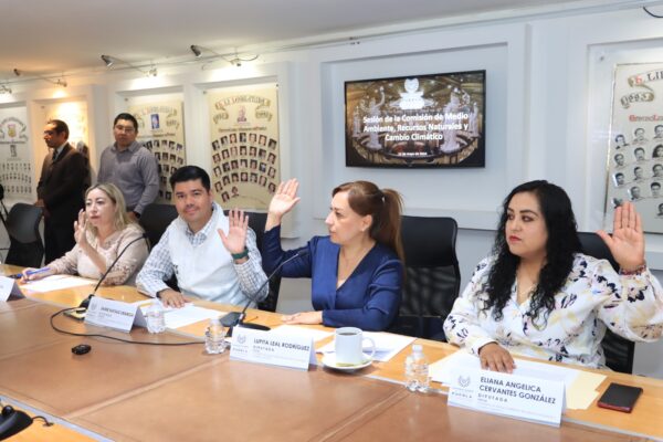 Aprueba Comisión del Congreso de Puebla exhorto para prevenir incendios forestales