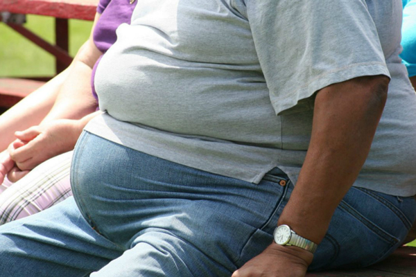 Científicos identifican células que podrían ser clave para tratar la obesidad