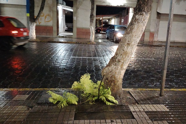 Cinco colonias de Tehuacán en riesgo por temporada de lluvias