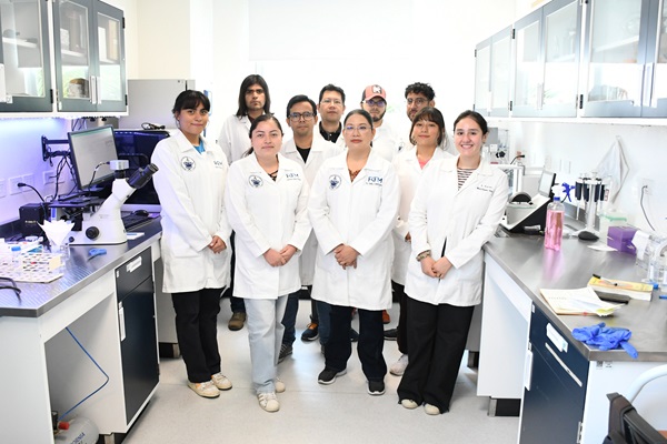 Desarrollan sensor microfluídico de papel para la detección de iones de arsénico