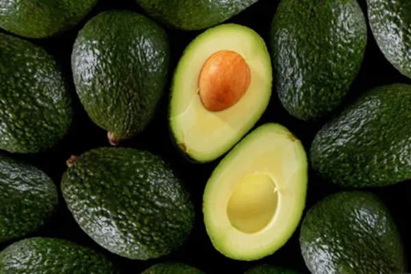 aguacate