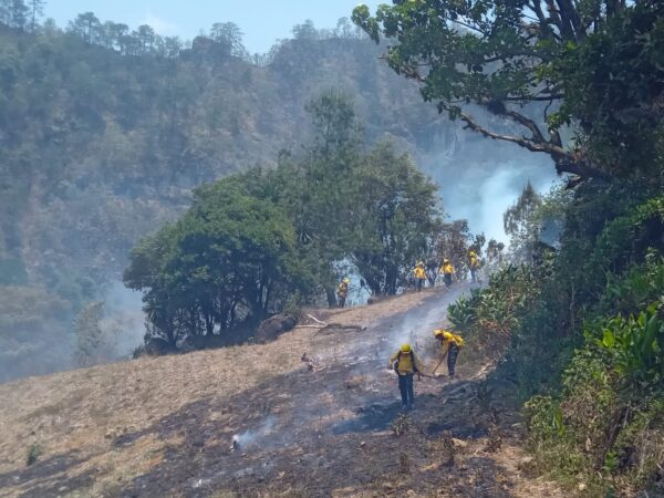 Puebla sufre 17 incendios forestales en últimas 24 horas hubo: Medio Ambiente