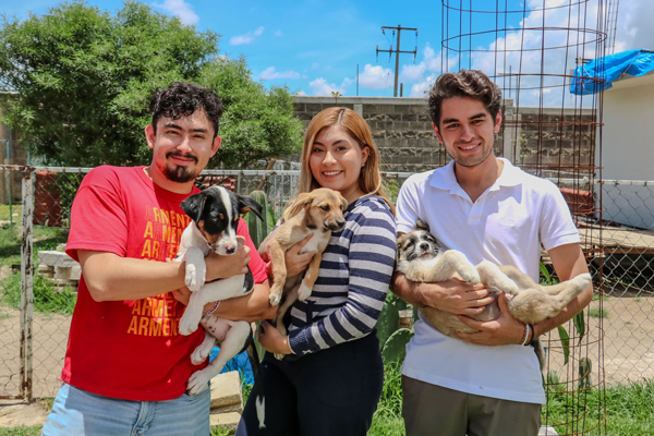 Armenta-protección-animal