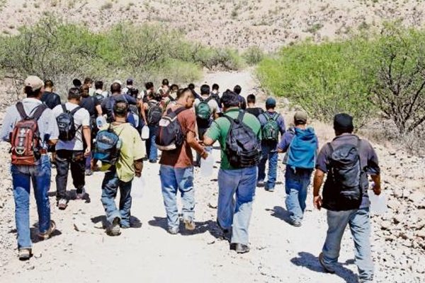 migrantes