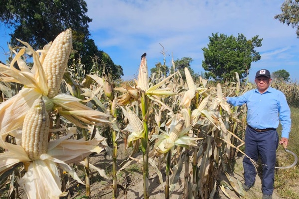 Granjas Carroll implementa sistema de agricultura compartida con pequeños productores de comunidades vecinas