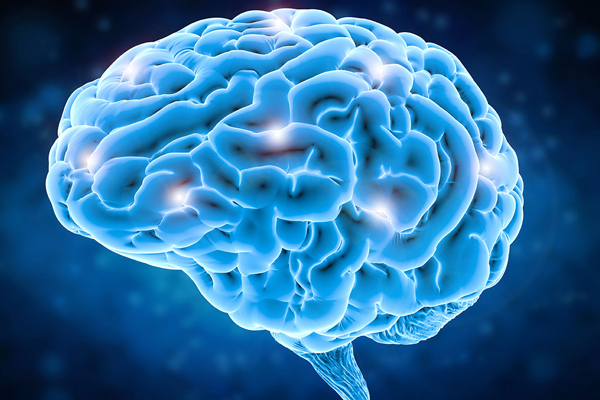cerebro-2