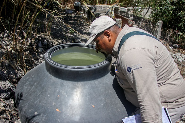 Puebla suma 4 mil 574 casos acumulados por dengue: Salud