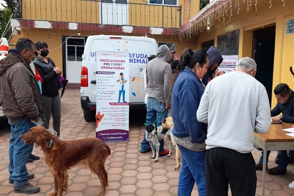 Bienestar animal ha realizado más de 6 mil esterilizaciones entre 2023 y 2024 en Tlaxcala