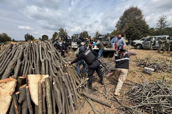 Durante operativo en La Malinche, fuerzas estatales y federales detienen a tres hombres por delitos forestales