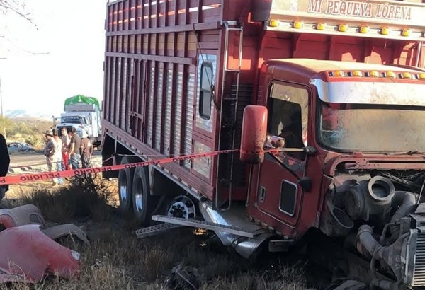 Prisión preventiva para conductor de 19 años implicado en accidente en Alseseca