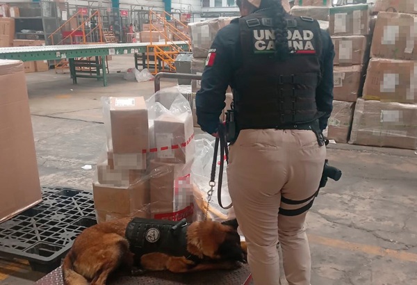 SSC Puebla asegura más de 16 kilos de narcóticos en una empresa de paquetería