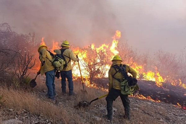 Avanza 60% la liquidación de incendio forestal en San Diego Chalma, Tehuacán