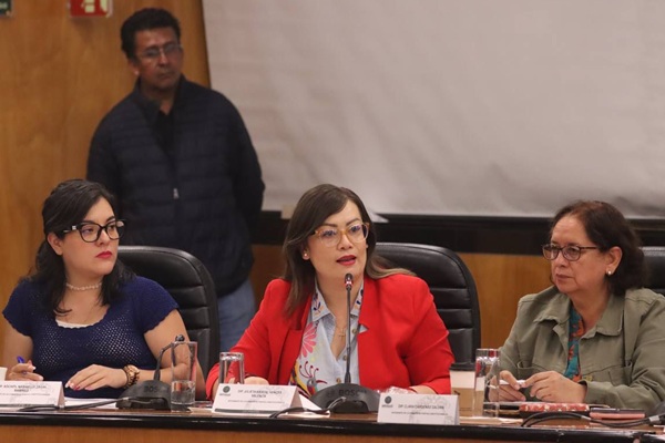Diputada federal por Puebla, Julieta Vences presenta iniciativa para garantizar pruebas de ADN en litigios de paternidad