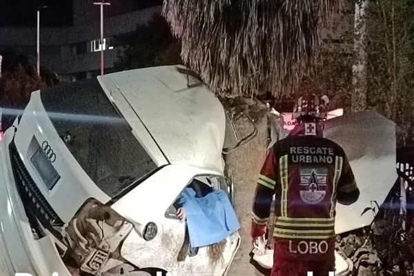 Mujer de 31 años muere en un auto tras chocar contra una palmera en la Vía Atlixcáyotl