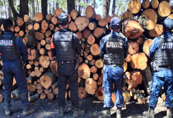 Nueva acción coordinada entre Tlaxcala y Puebla arroja resultados positivos en materia de delitos ambientales