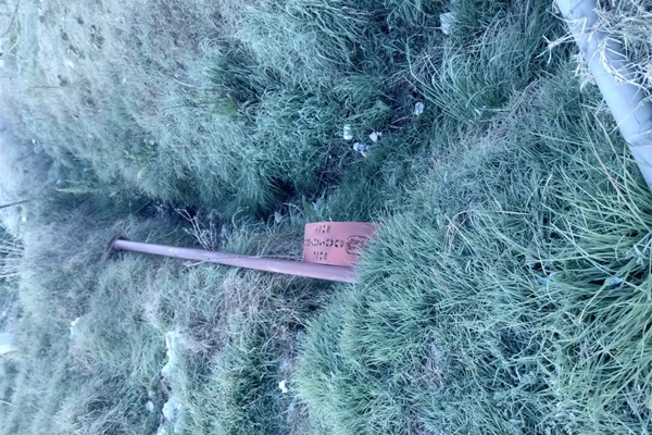 Alcalde de Cuautlancingo acusa a la oposición de vandalizar luminarias en Almecatla