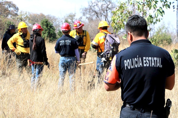 Profesionaliza SSP a Policía Estatal Forestal en protección al ambiente