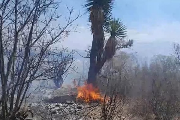 Se registra incendio forestal en San Diego Chalma, Tehuacán