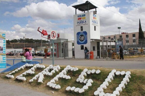 TARDE DE PERROS | San Miguel se les va de las manos