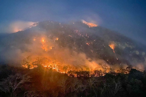 Un 70% de los incendios registrados en Puebla son provocados; ya se presentaron denuncias ante FGE