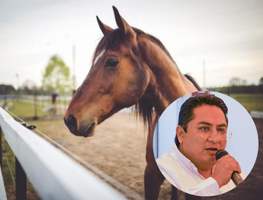 Hacen un llamado a Fiscalía para que investigue al alcalde José Cinto Bernal por agresión a un caballo.