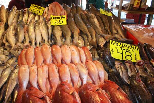 Por cuaresma, precios de pescados y mariscos sube 12% en mercados y 18% en tiendas de autoservicio: ANPEC