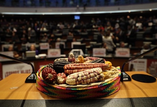El Senado aprueba reforma constitucional que reconoce al maíz nativo como alimento básico y lo protege de modificaciones genéticas