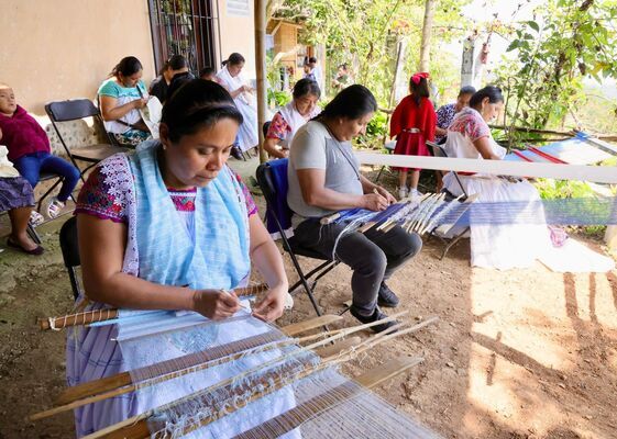 En el marco de la conmemoración del Día Internacional de la Mujer, se llevarán a cabo foros dirigidos a las mujeres indígenas.